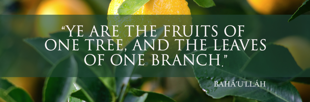 Ye are the fruits of one tree, and the leaves of one branch. 