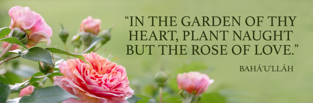 In the garden of thy heart, plant naught but the rose of love.
